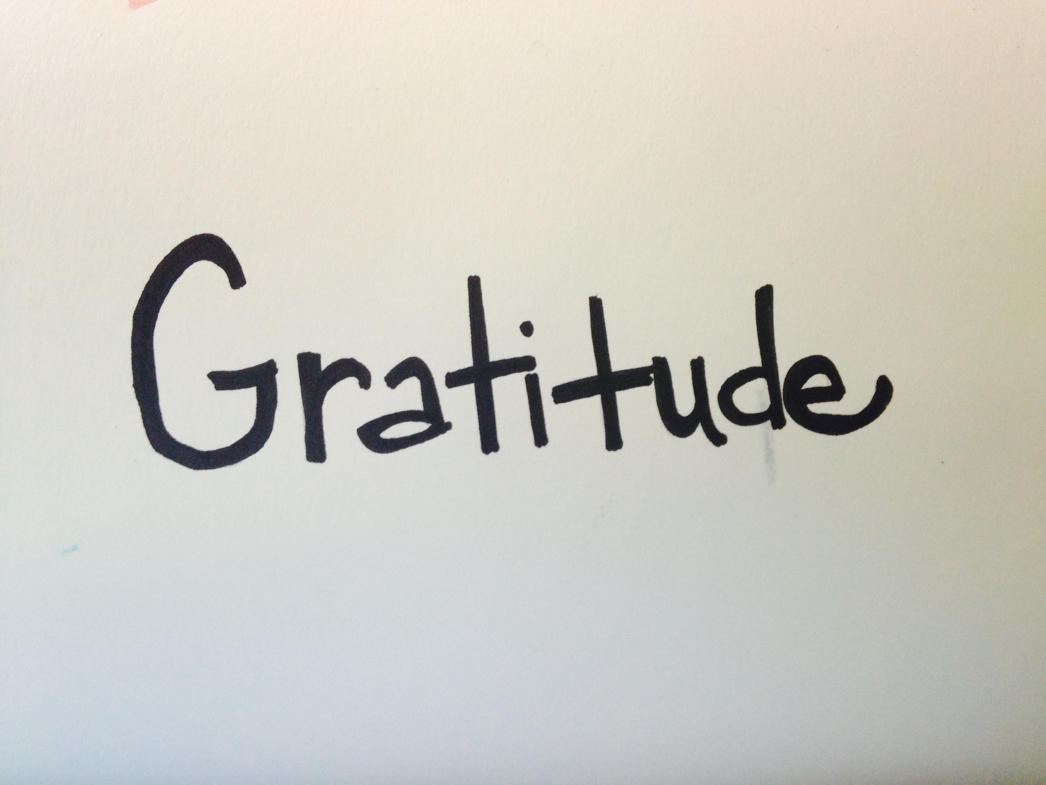 Practicing The Art of Gratitude